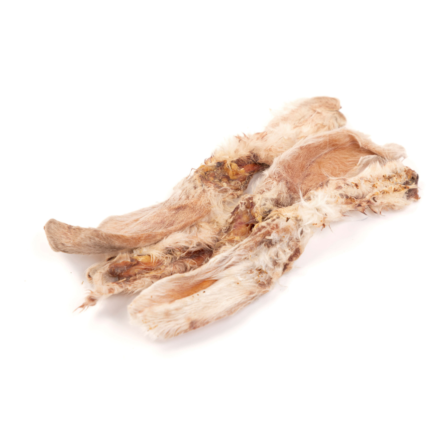 BIMORDISCOS Orejas de conejo para perros y gatos, , large Imagen numero 2